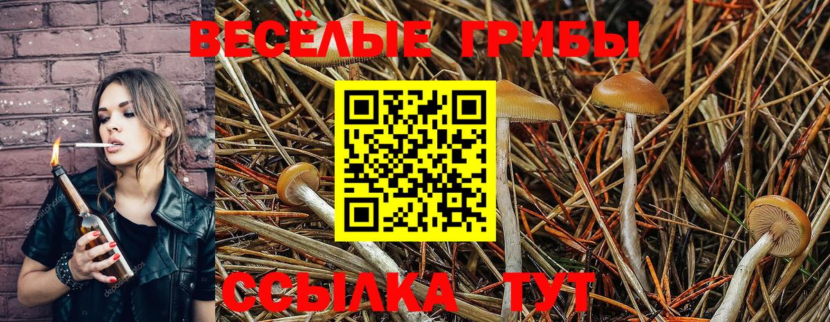 Кропоткин  Галлюциногенные грибы Magic Shrooms  Галлюциногенные грибы Psilocybine cubensis  Вход с VPN 